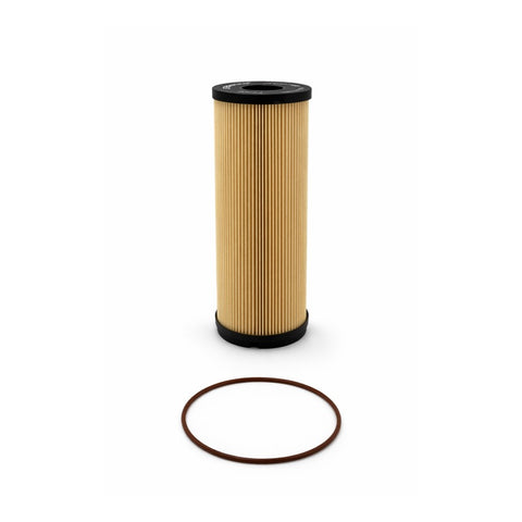 Beige fuel filter with an O-ring on a white background