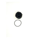 Fuel filter along with a rubber O-ring displayed on a white background - image captured from above.