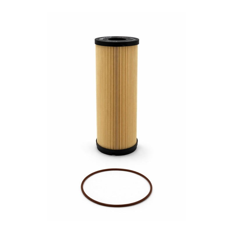 Beige fuel filter with an O-ring on a white background